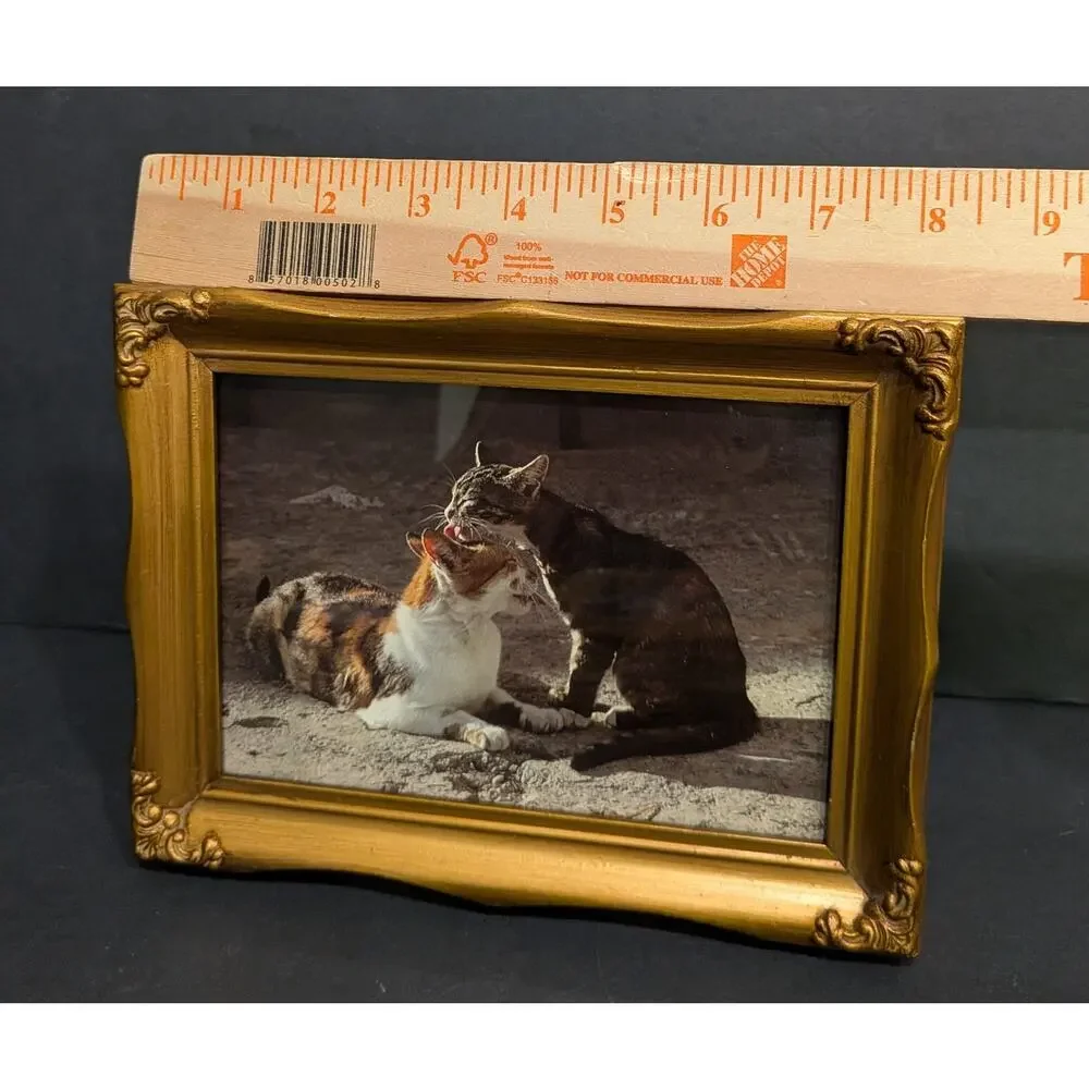 Vintage Style Ornate Gold Picture Frame 4x6 Cat Lovers Grooming Calico